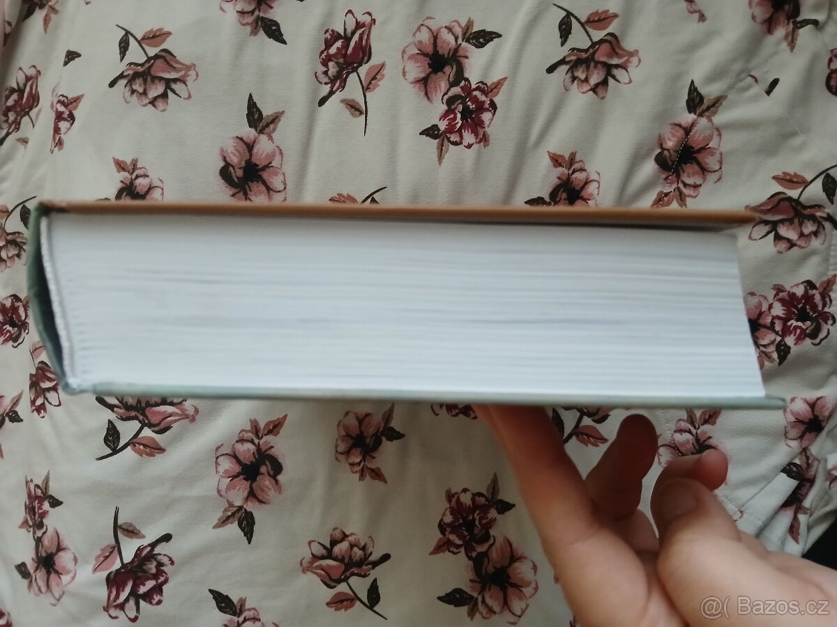 Dějiny Británie - 8