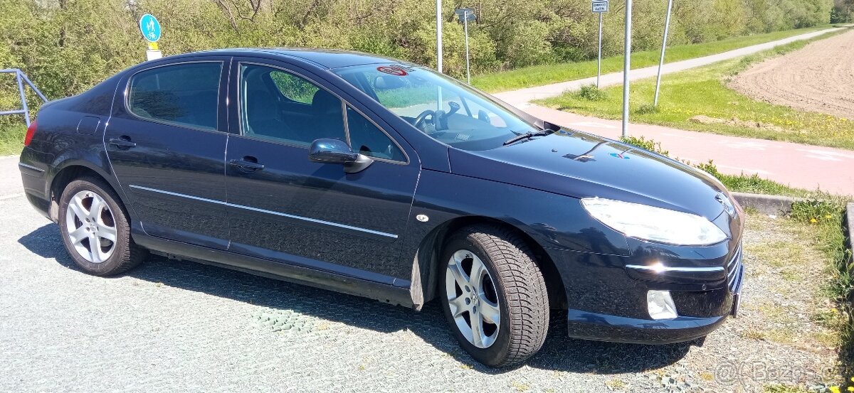 Peugeot 407 - 8