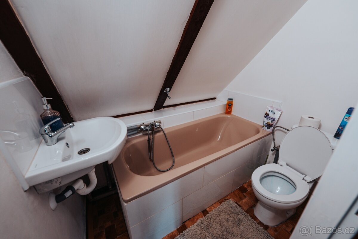 Pronájem chaty Vysočina Hluboké u Vírské přehrady - 8