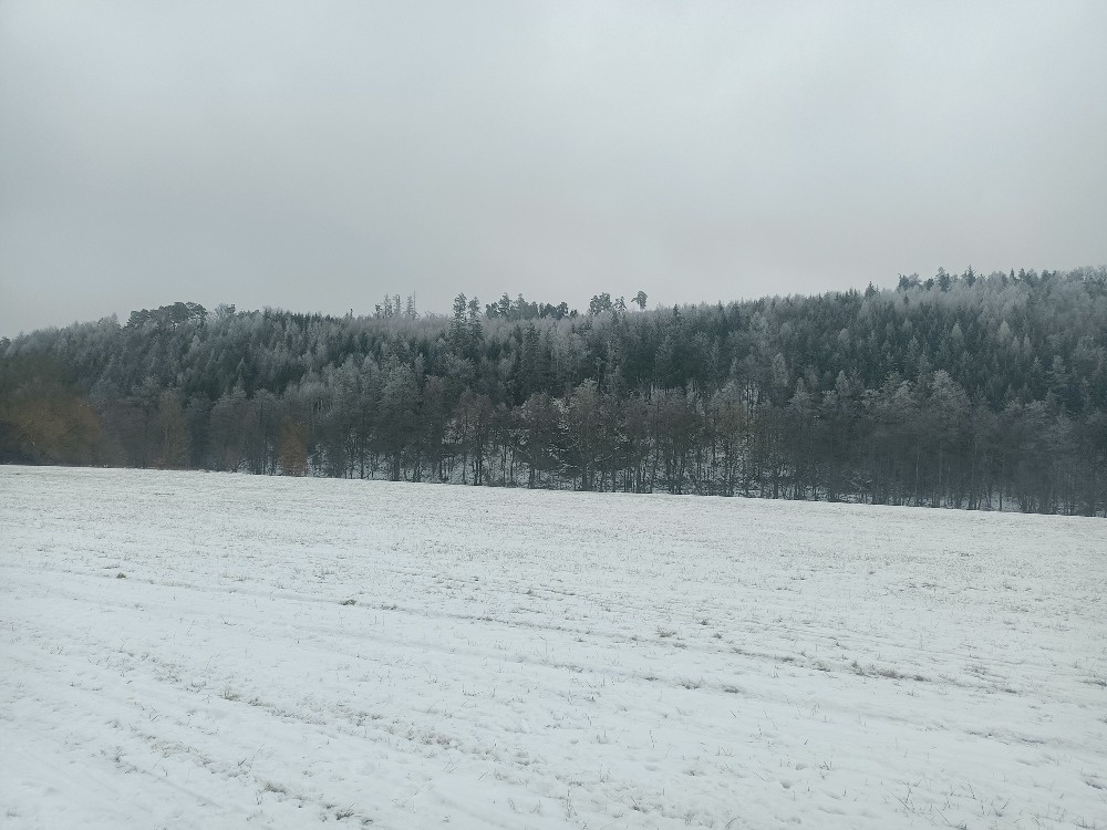 Pronájem 3+1 v RD - 8