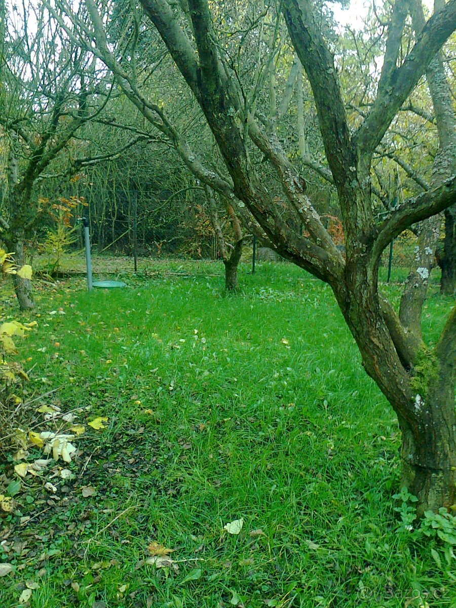 Praha 5-Velká Chuchle, domek s pozemkem k pronájmu - 8