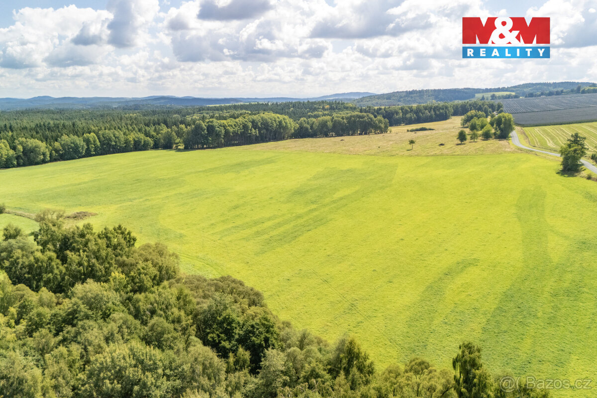 Prodej komerčního pozemku, 238031 m², Přimda - 8