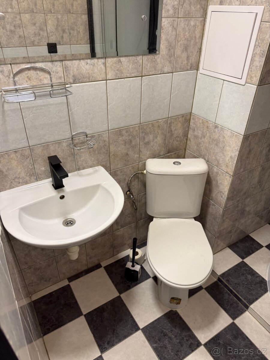 Pronájem bytu ve Volarech 1+1 s balkonem - 8