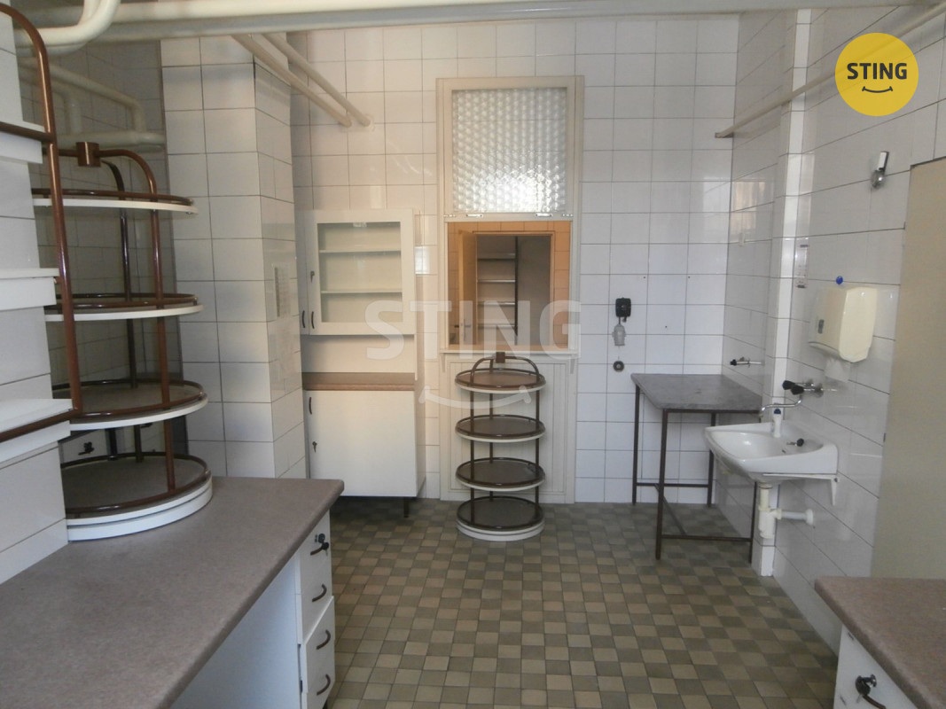 Pronájem obchodu 240m2., 135504 - 8
