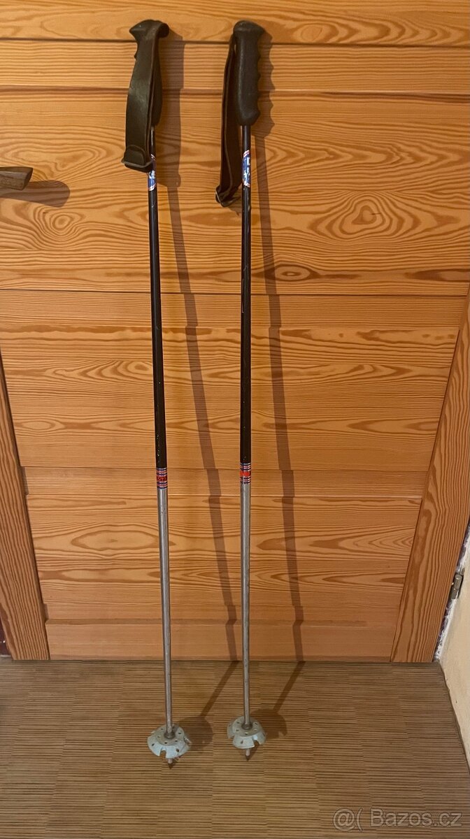 Lyže 170 Artis + hůlky 125 cm - 8