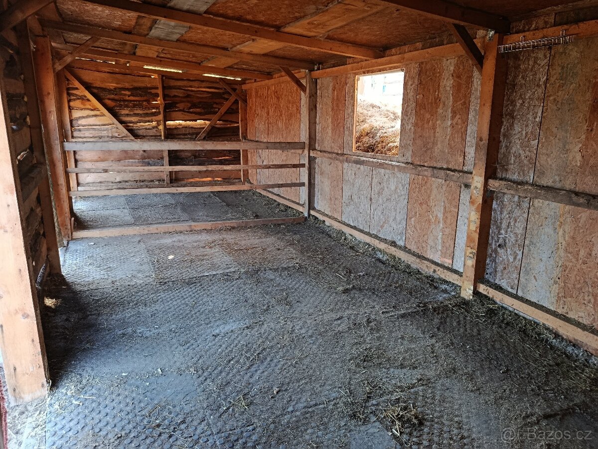 Pastevní ustájení - 8