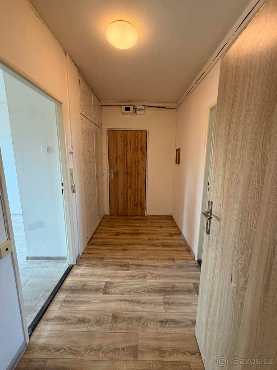 Pronájem - 8