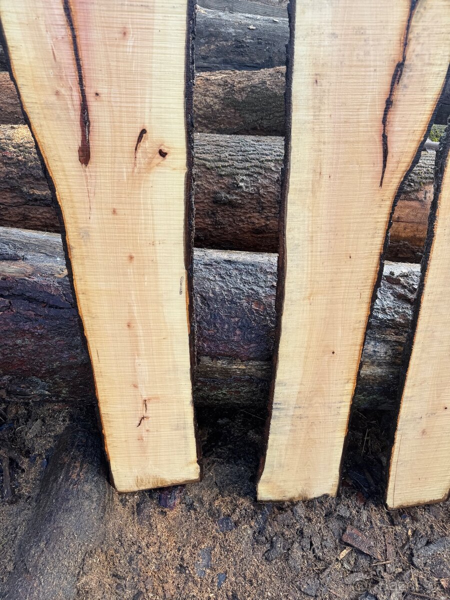 Kaštanové fošny - 8