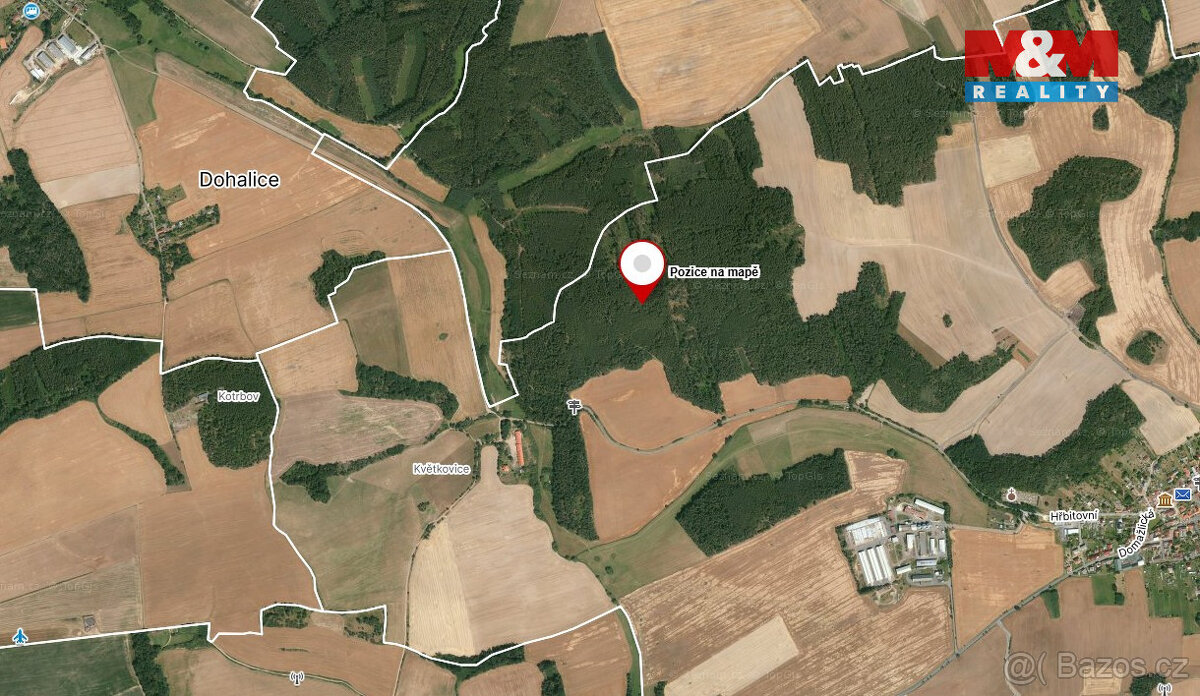 Prodej lesa, 10594 m², Koloveč - 8