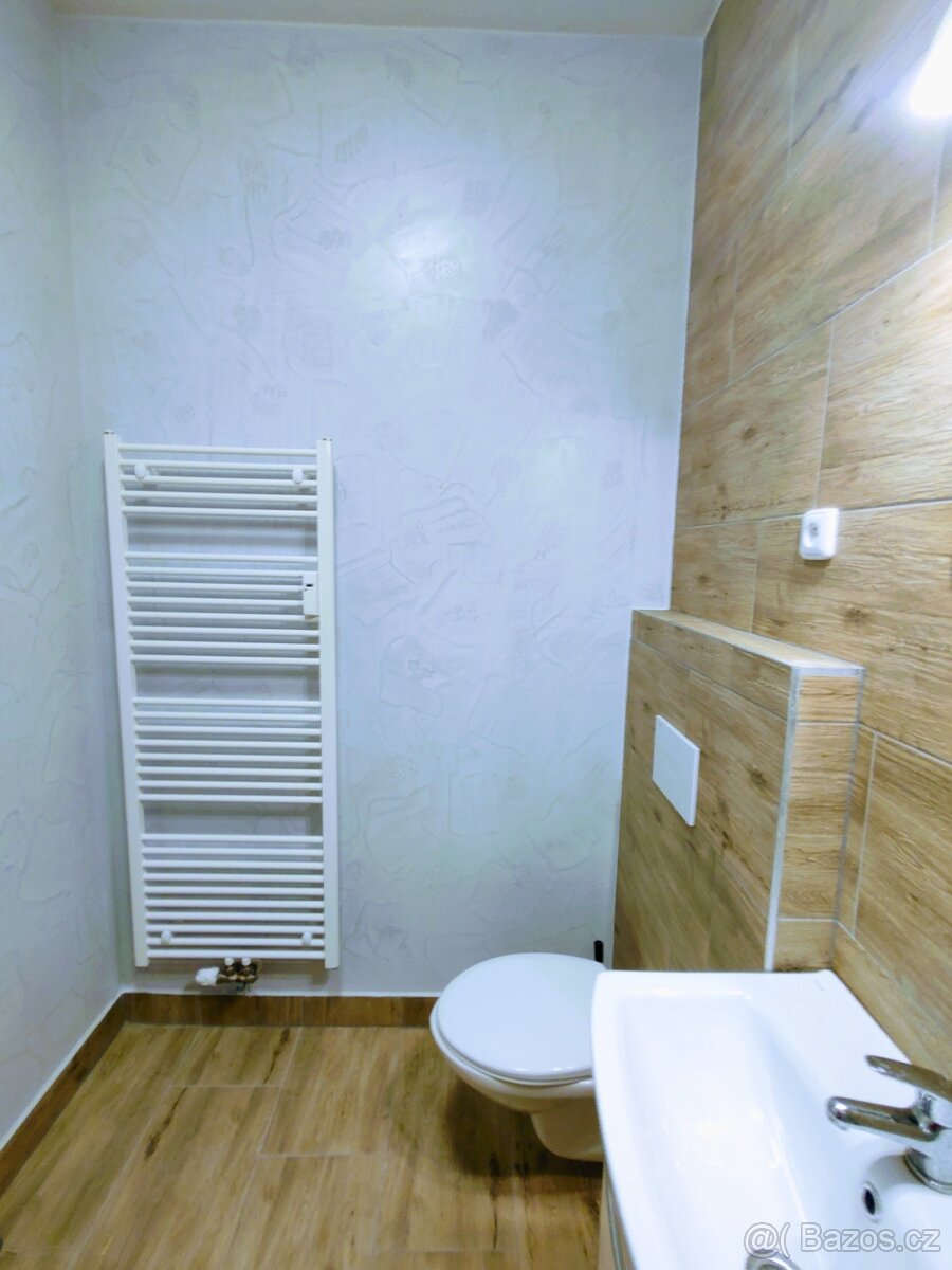 1kk Janovice nad Úhlavou - 8