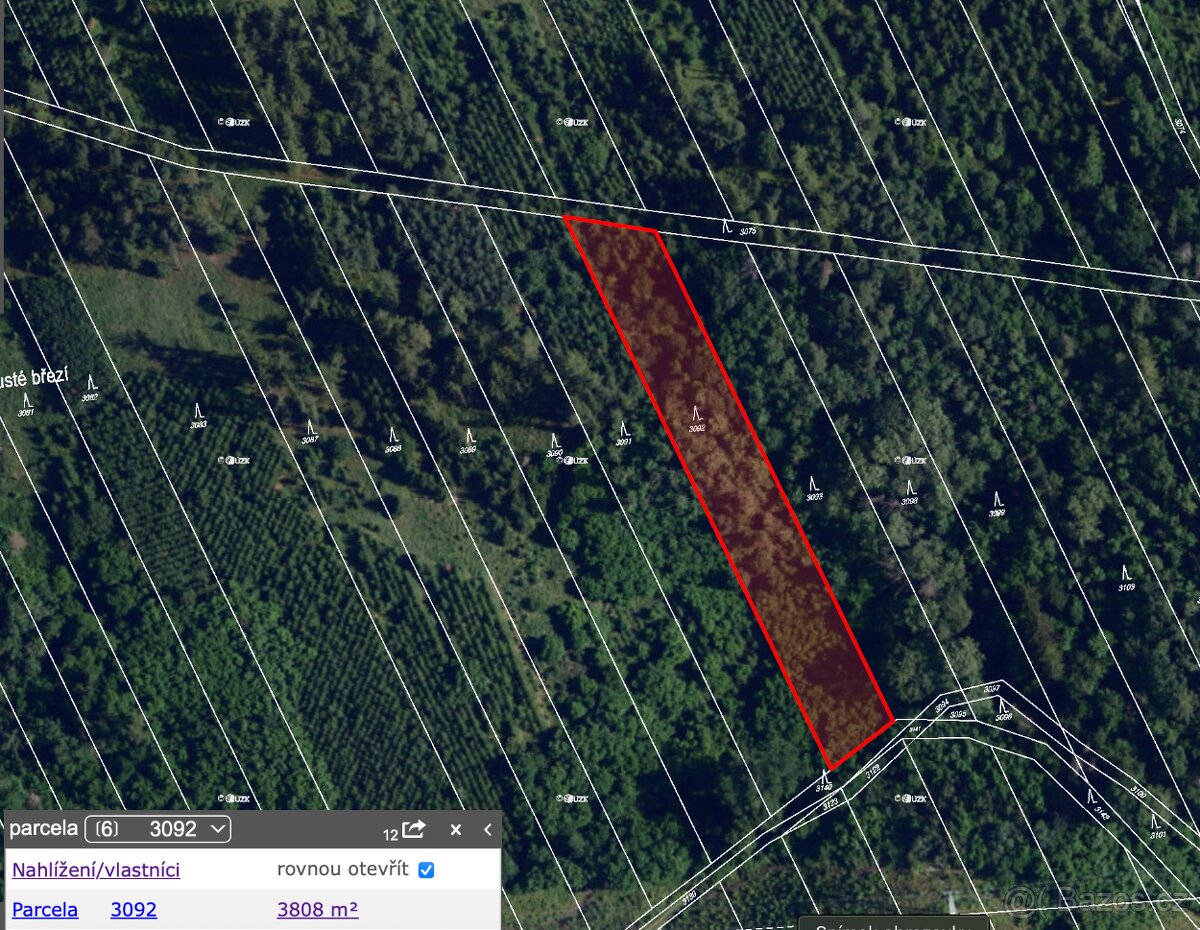 Prodej lesa v k.ú. Malhostovice - Tišnov - 8