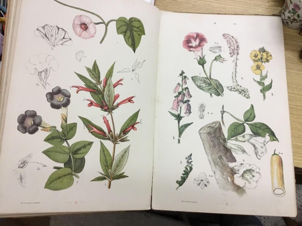 Vice nez 4000 knih - 8