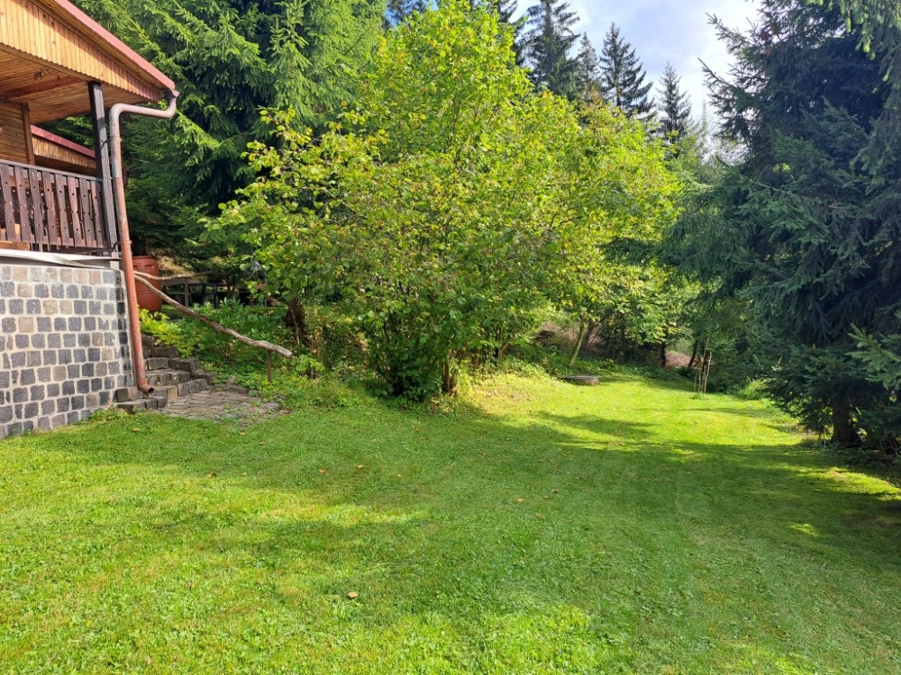 Prodám chatu na Bílé ( SLEVA ) - 8