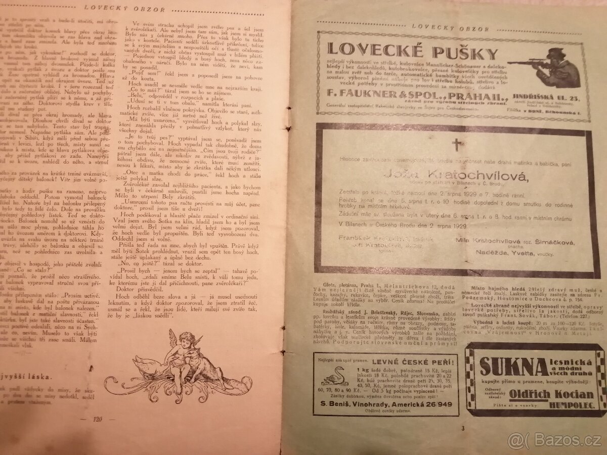 LOVECKÝ OBZOR... - 8