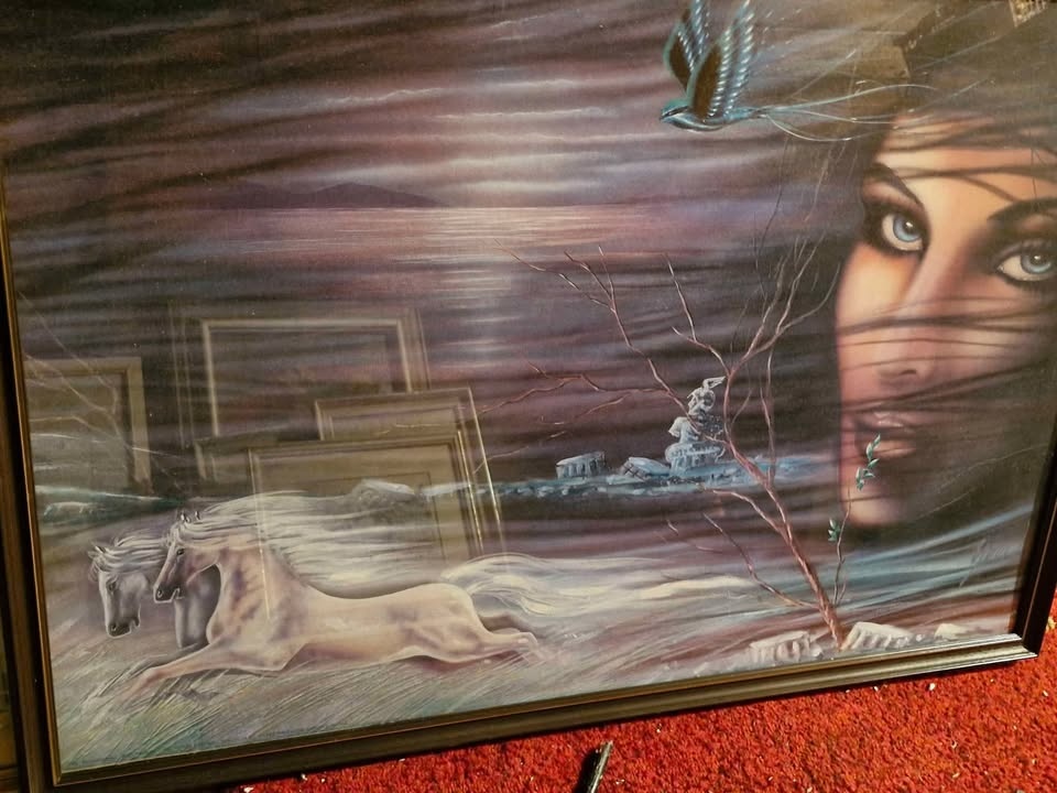 Obrazy Kadeřábek, Balíček, Fiala od 499 + nabídněte - 8