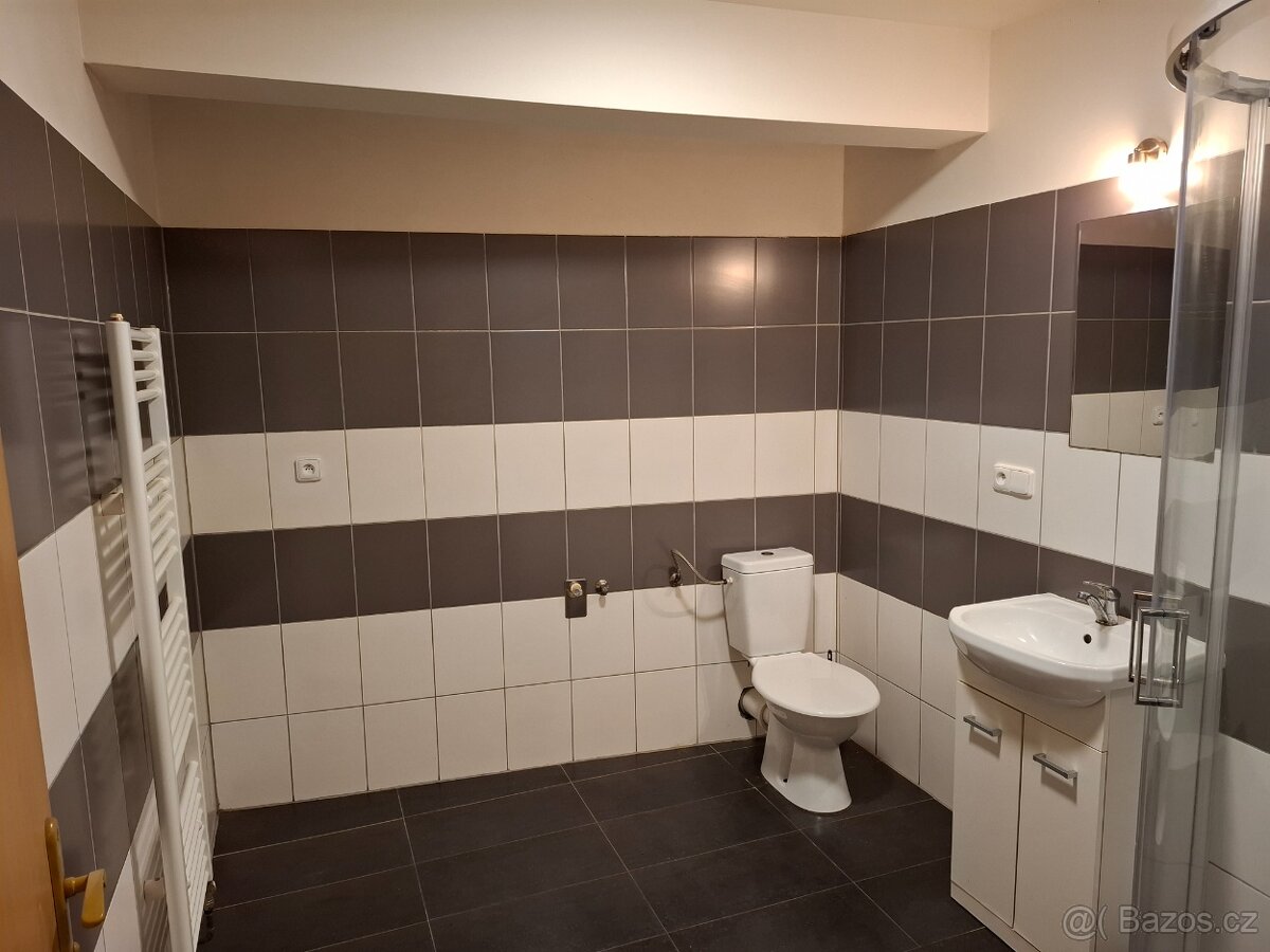 Pronájem bytu 1+kk 32,6m² - 8