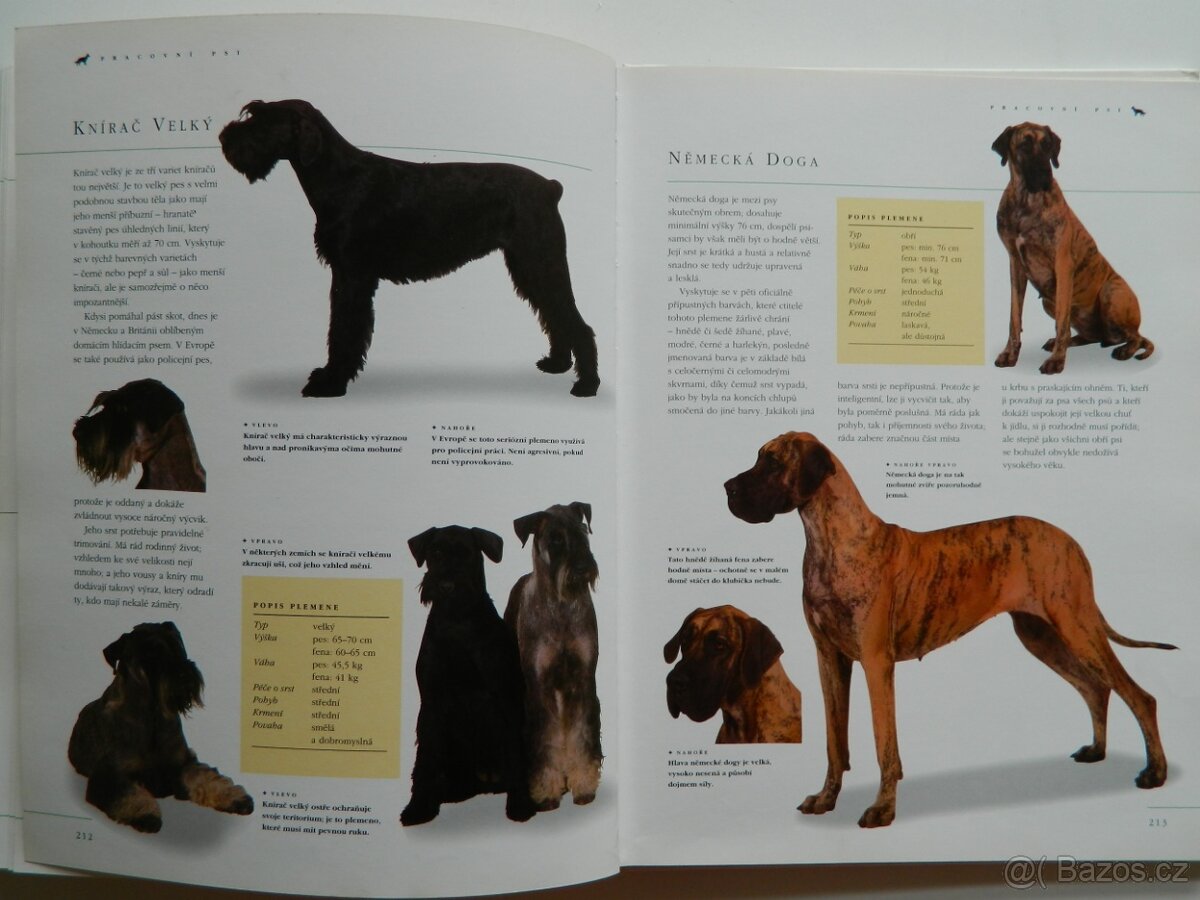 Pes a péče o něj - 8