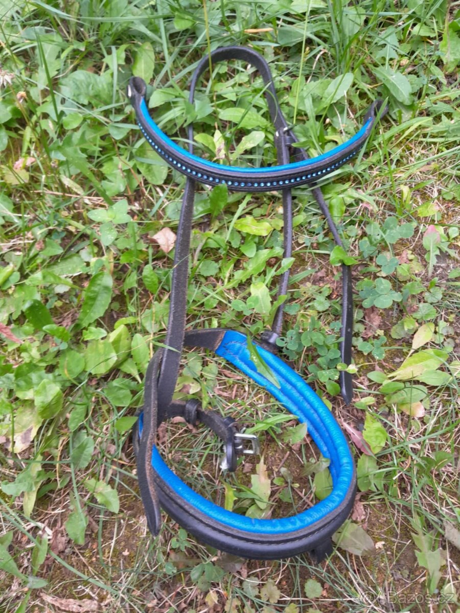 Korekční beránek a další cajky - 8