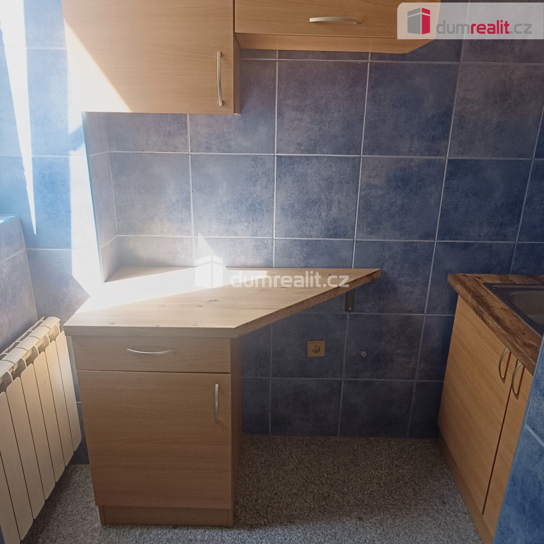 pronájem komerčních prostor, ul. Čs. legií, Děčín - Podmokly - 8