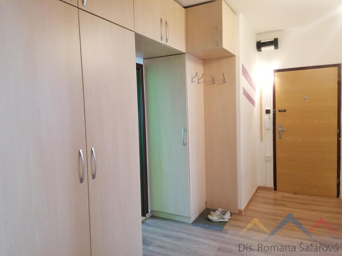 Pronájem bytu 3+1, Břidličná - 8