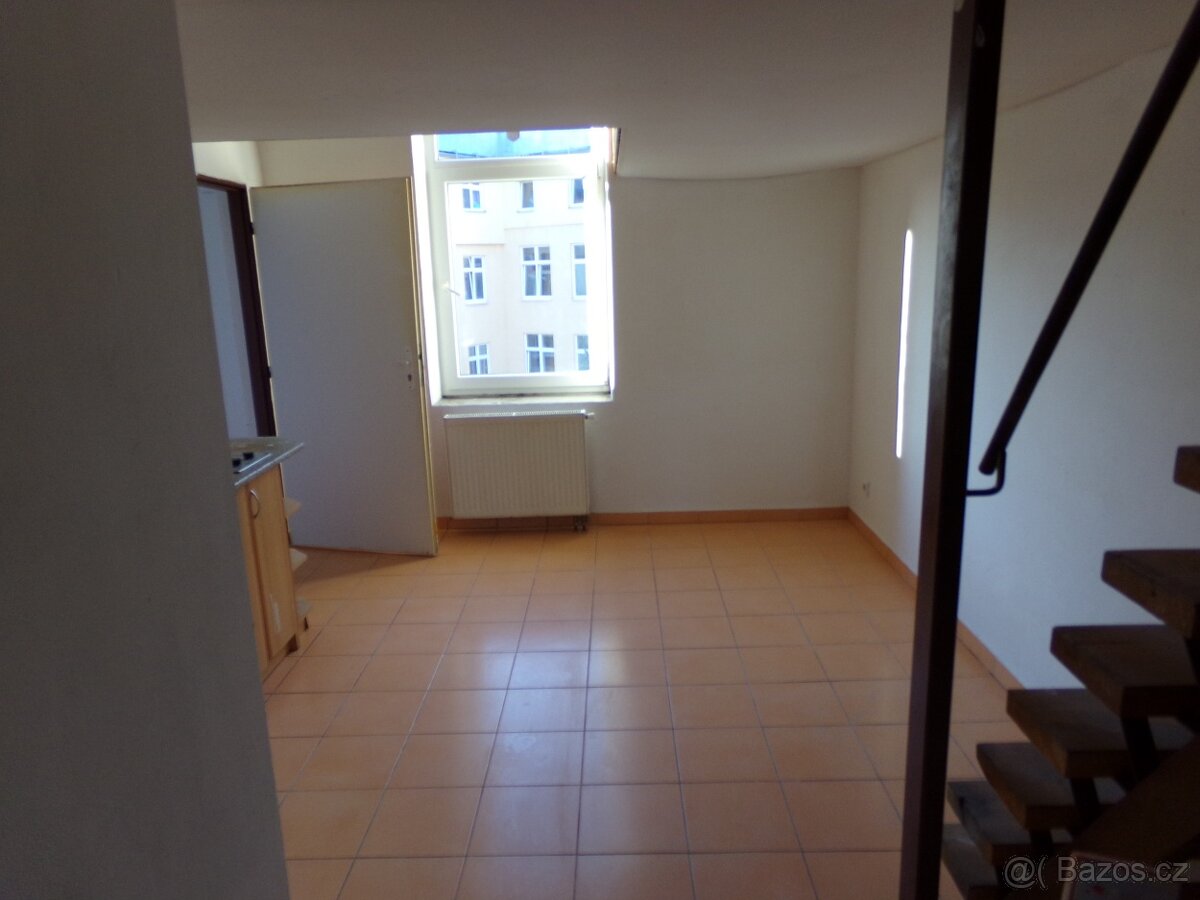 Pronájem bytu 1+1, Podnásepní, 75m2 - 8