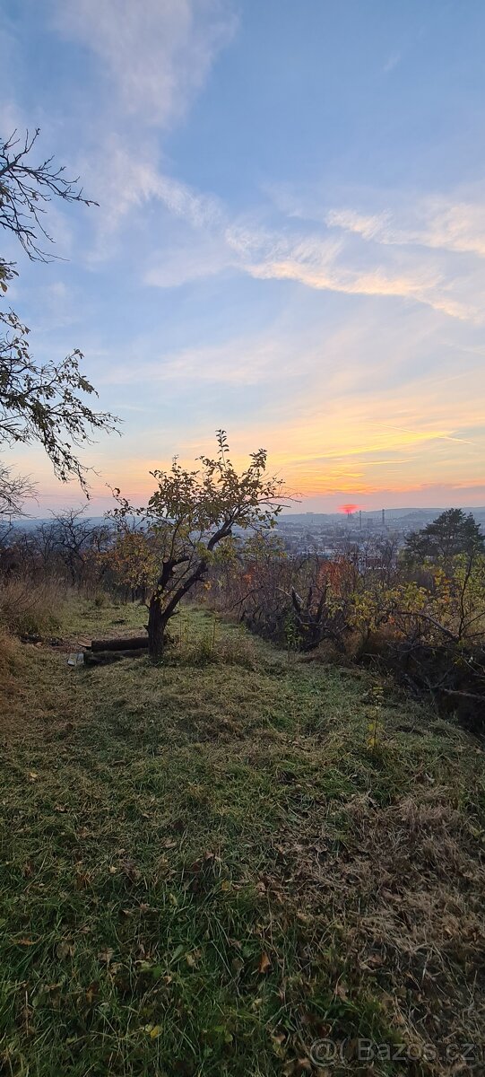 Prodej zahrady v Brně - 8