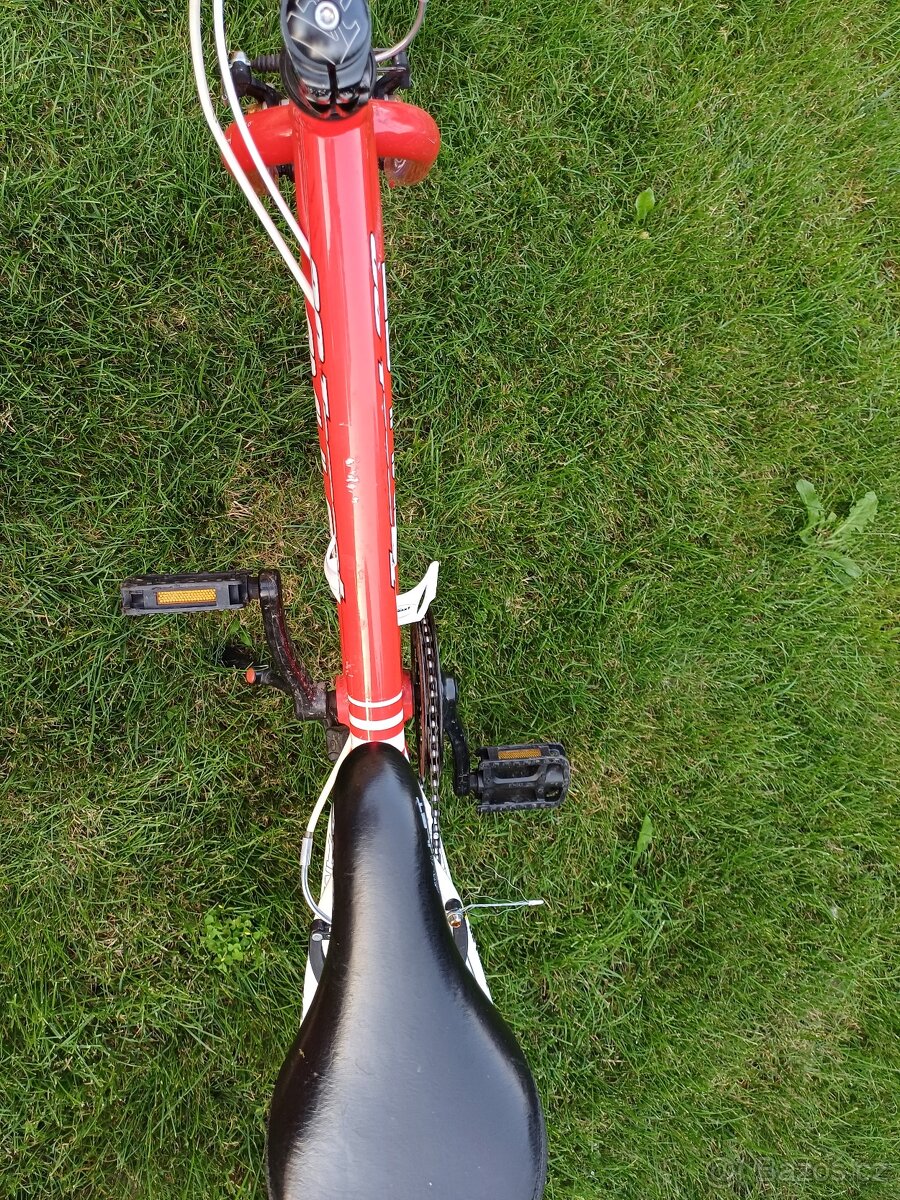 Amulet Tomcat 20 - 8