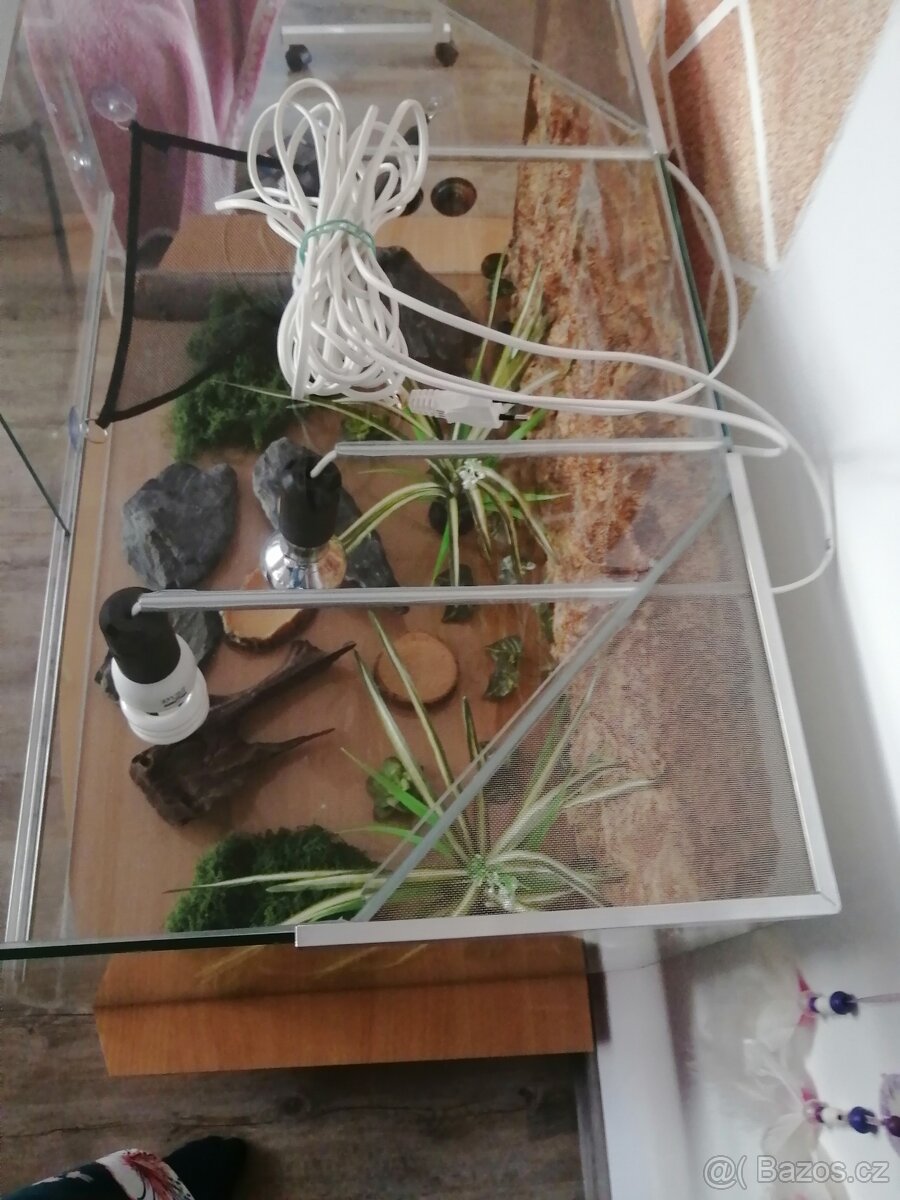 Skleněné terárium - 8