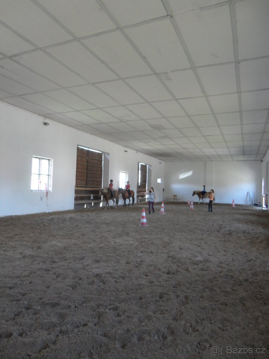 Ustájení koní na Šumavě - 8