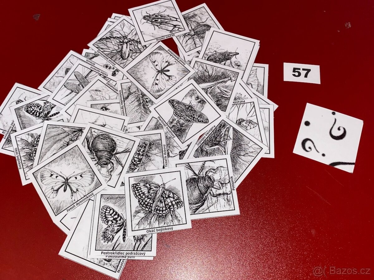 Velké pexeso vel.L => PLNO DRUHŮ - 8