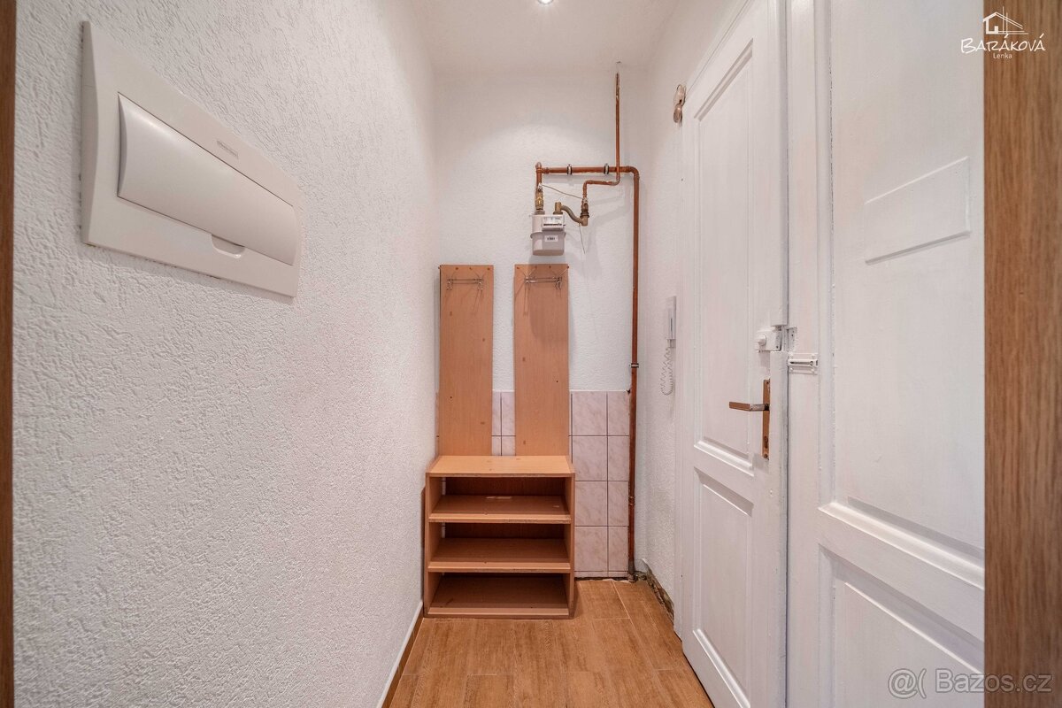 Pronájem bytu 2+kk 46 m², Plzeň - Jižní Předměstí - 8
