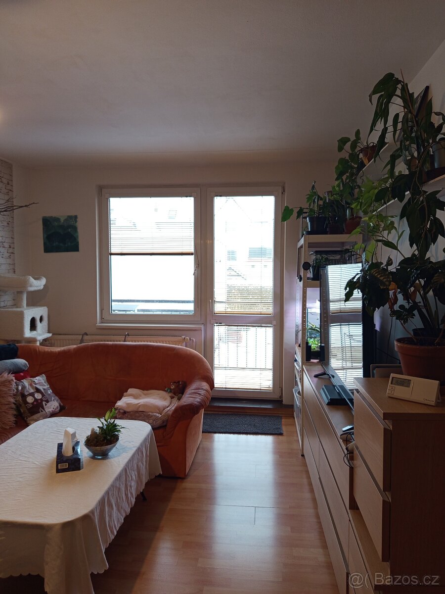 Pronájem bytu - 8