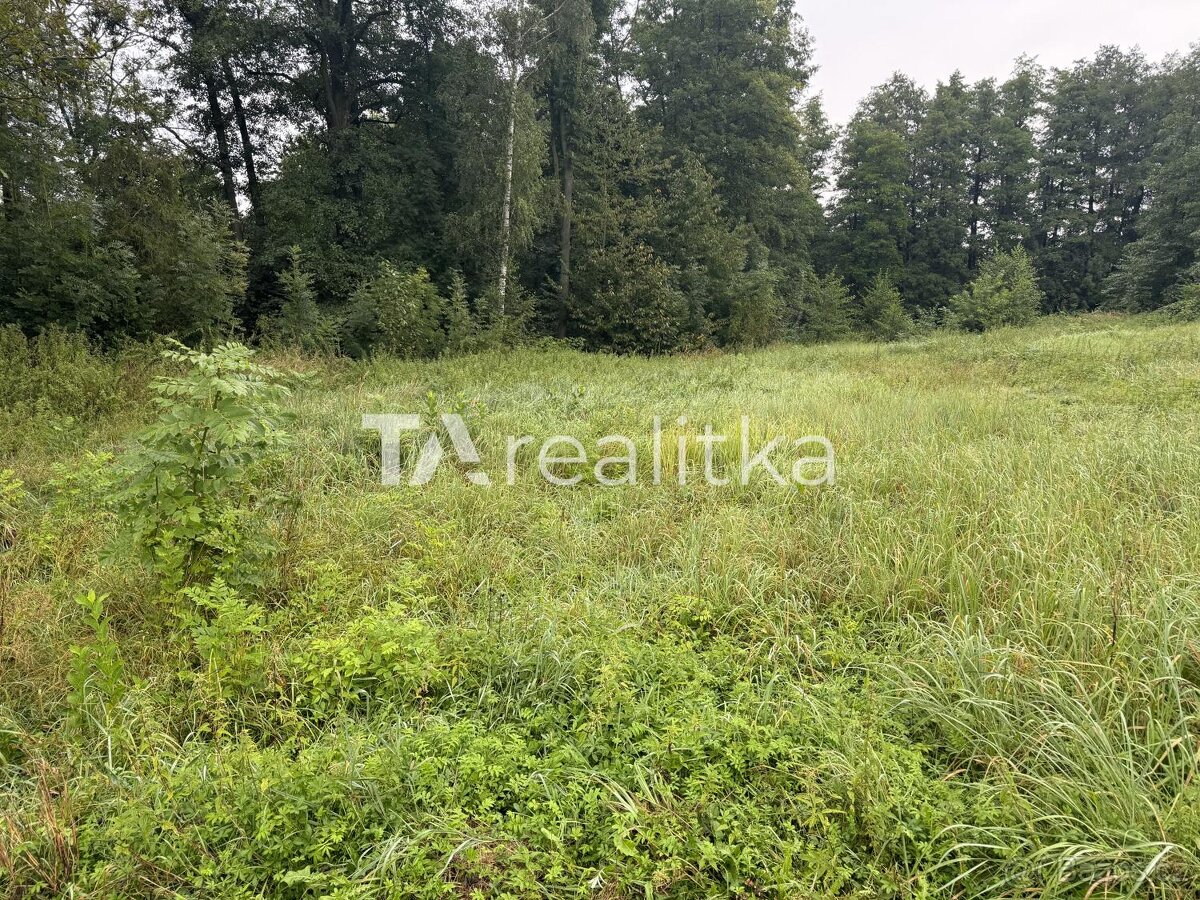 Prodej pozemek Pole Orlová 73514 - 8