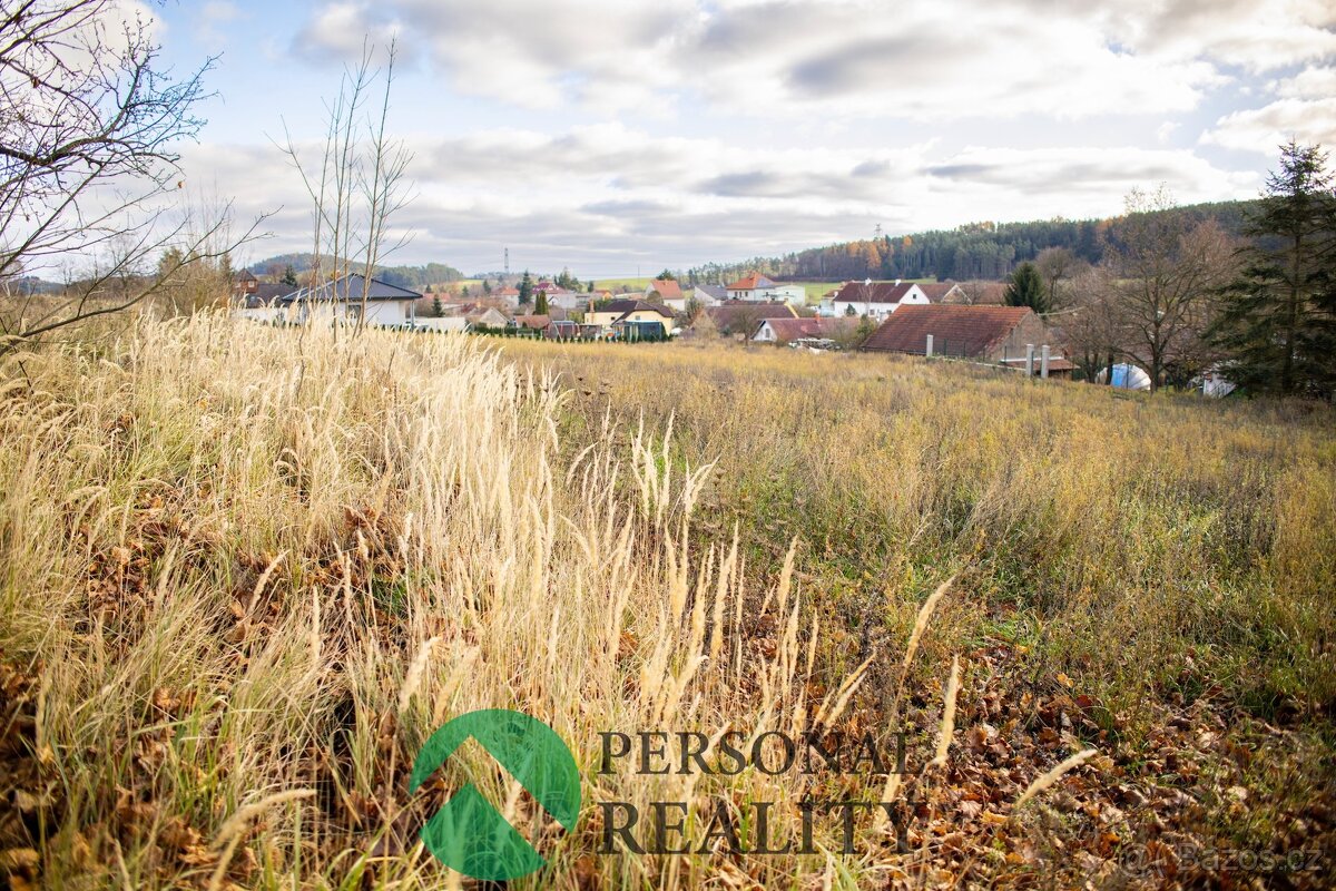 Prodej stavebního pozemku 2 768 m², Drevníky, ev.č. 02672 - 8