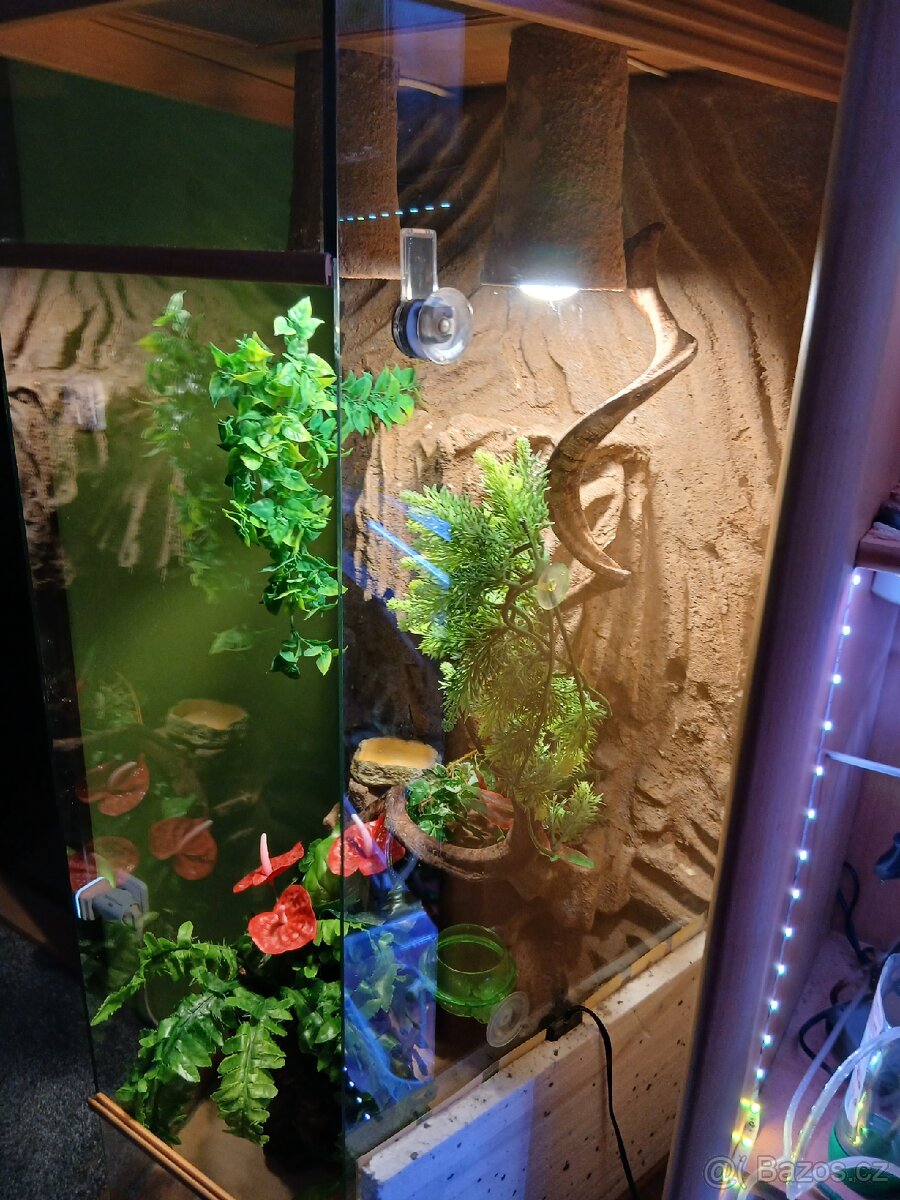 Terárium pro chameleona - 8