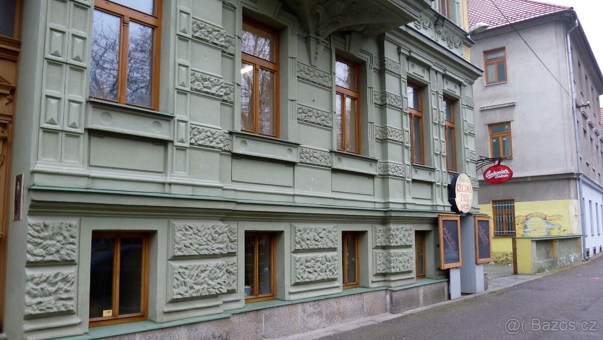 Pronájem restaurace České Budějovice, Na Mlýnské stoce - 8