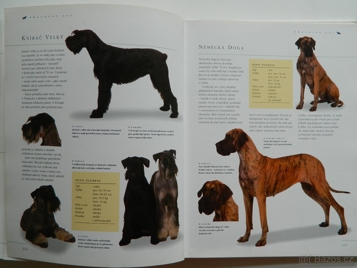 Pes a péče o něj - 8