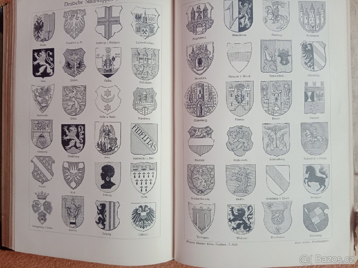 STARÝ LEXIKON Z ROKU 1905 MAYERS - 8