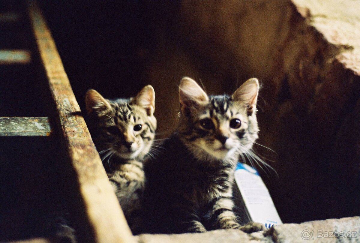 Nikon FG-20 + Tokina 28mm f/2.8 + Tokina 70-210 - 8