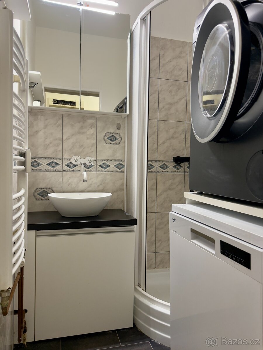 Prodej bytu o celkové ploše 30m2 v Hrušovanech u Brna - 8