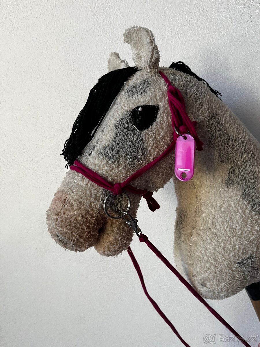Hobby horse - 8