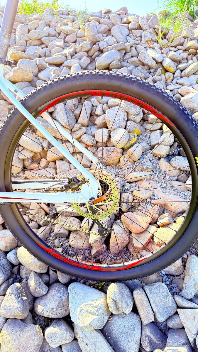 Specialized Rockhopper 29 - 8