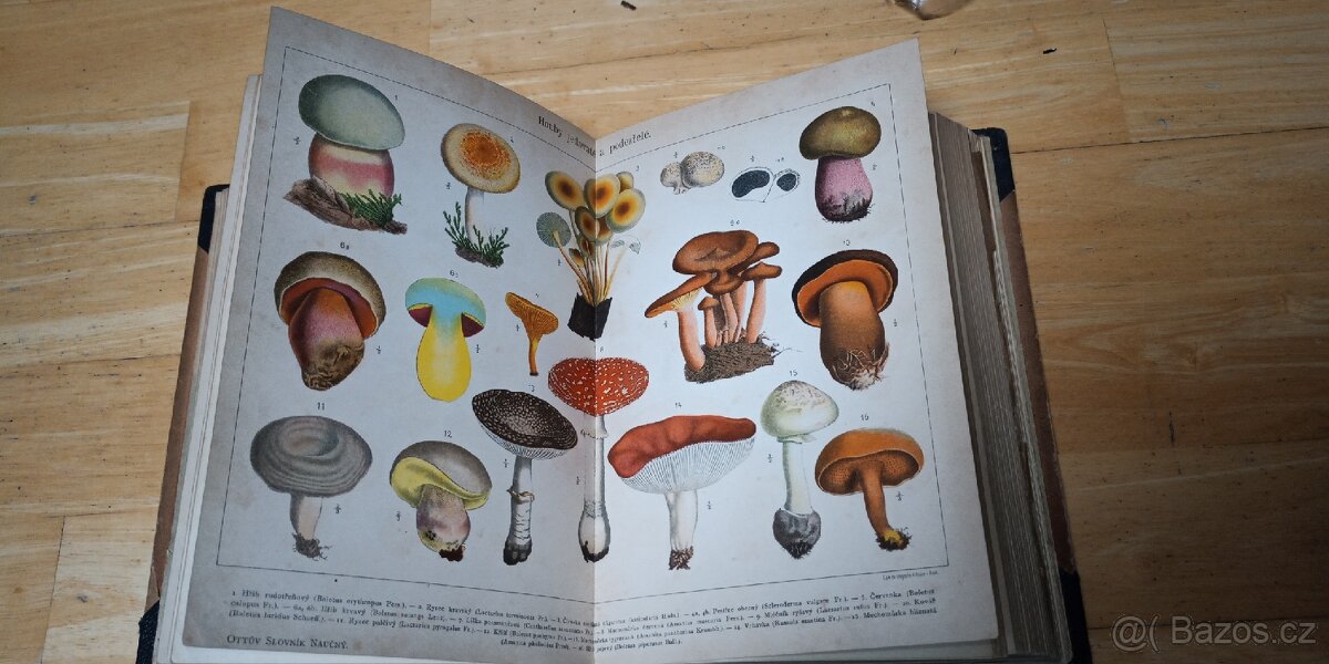 Ottův slovník naučný - 8