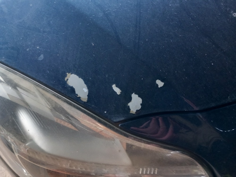 Opel insignia 2012 2.0 nafta - 8