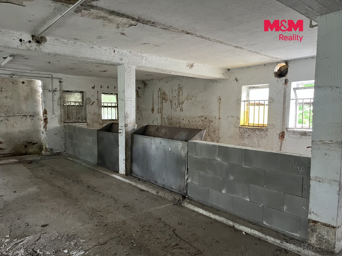 Prodej zemědělského objektu, 1320 m², Dešenice - 8