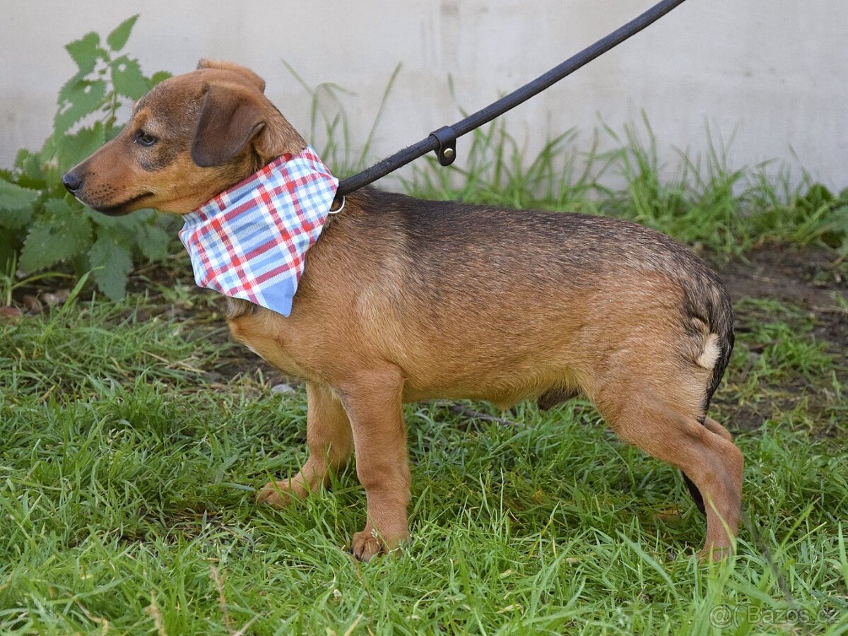 Jeremy hledá domov - 8