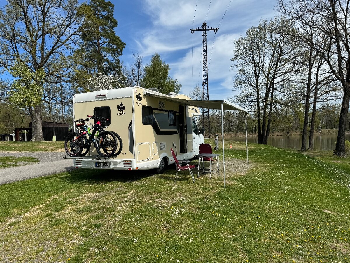 Ahorn Canada Tu- plus - 8