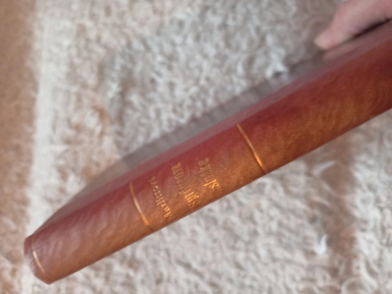 Staré knihy- Stašek, Herman,Dickens,Marlittová... - 8