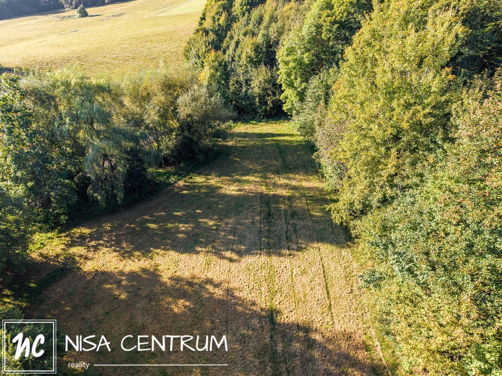 Prodej lesa 30 343 m² v Šimonovicích - 8