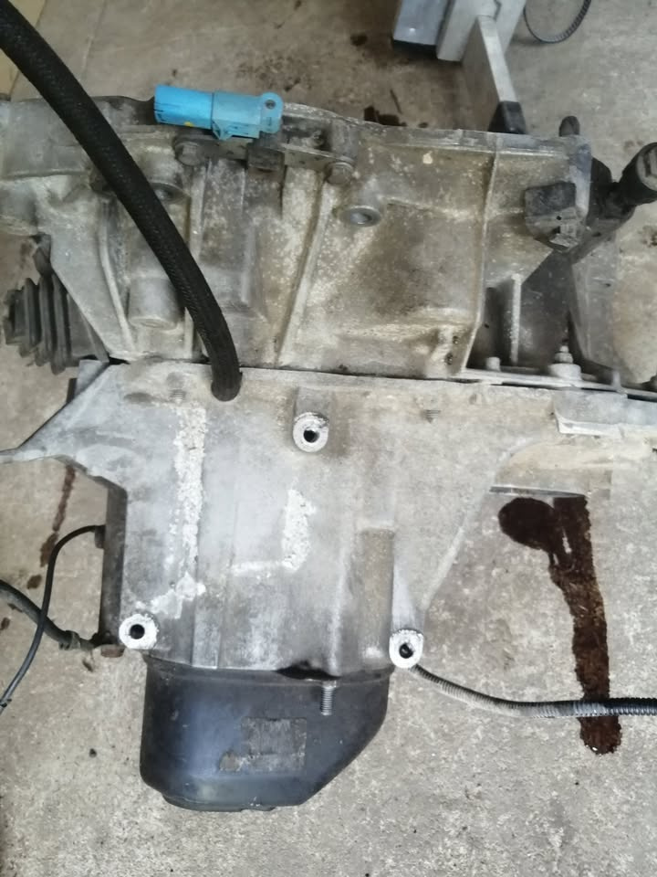 Renault Thalie 2011 - 8